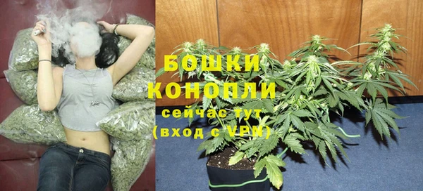 MESCALINE Покачи