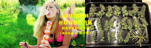 прущий лед Пересвет