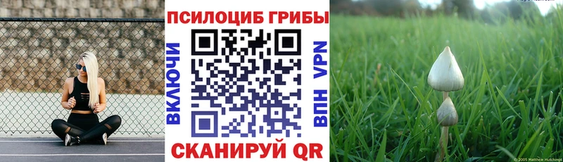 Галлюциногенные грибы Psilocybe  Рославль 