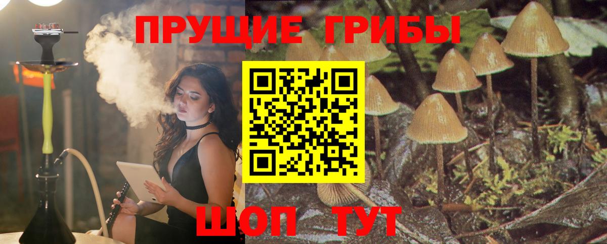 Псилоцибиновые грибы Magic Shrooms  Псилоцибиновые грибы мицелий  Рославль  Вход с VPN 