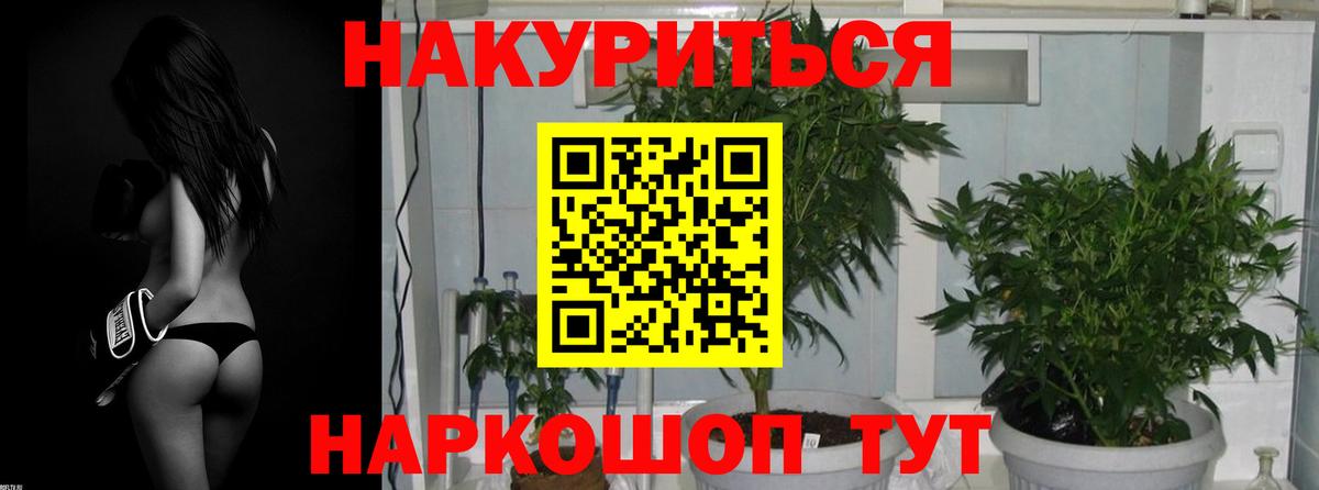 Канабис план Рославль